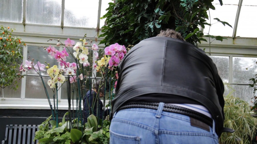 A.K. Burns, Orchid Show