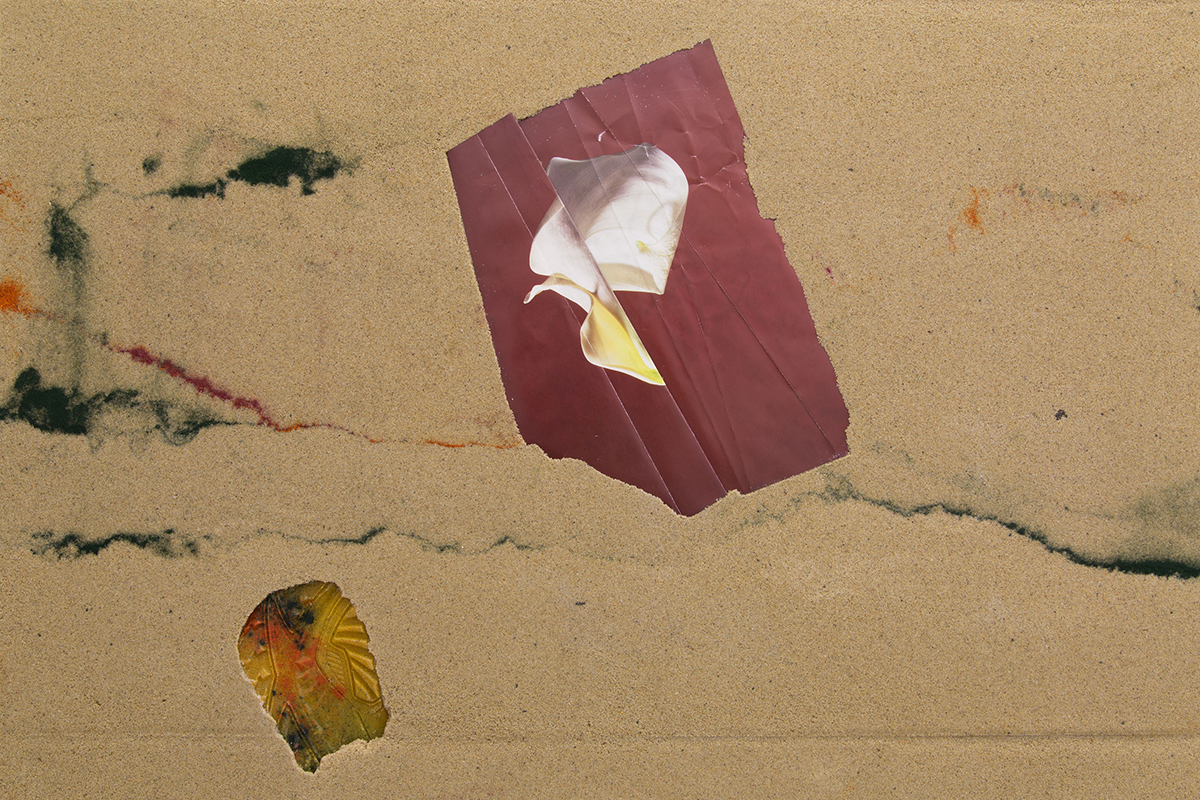 Barrier_Island_01detail